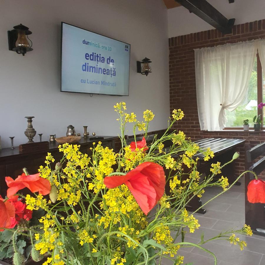 Appartamento Casa Sofia Baltatesti Esterno foto