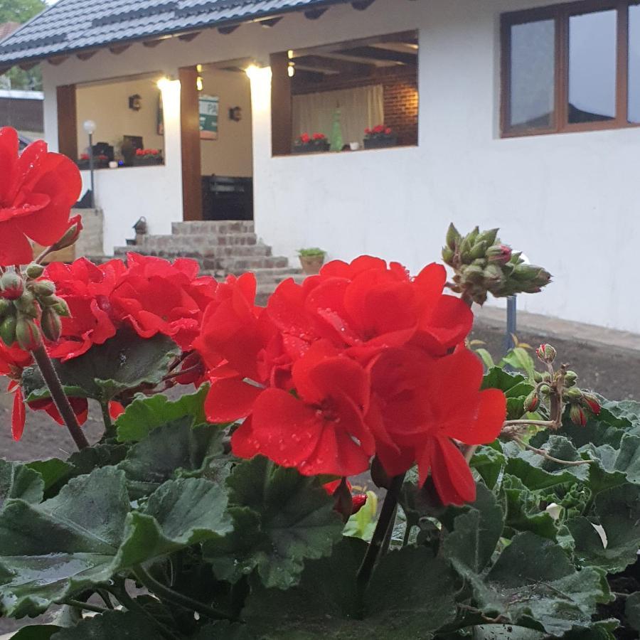 Appartamento Casa Sofia Baltatesti Esterno foto