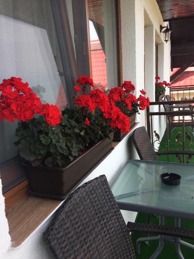 Appartamento Casa Sofia Baltatesti Esterno foto
